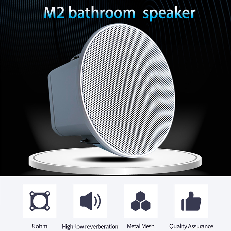 Mini haut-parleur de plafond 2 - Audio Music In Background avis et prix